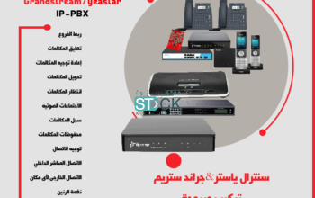 سنترال اى بى داخلي بدالات IP للشركات الكبيرة والصغ